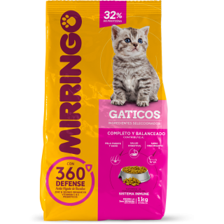 Mirringo cachorros gaticos...