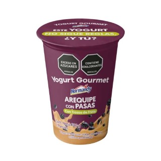 Yogurt Gourmet Arequipe Vso...