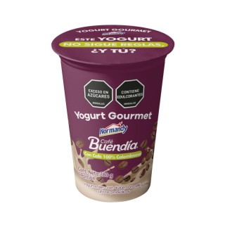 Yogurt Gourmet Cafe  Vso x...
