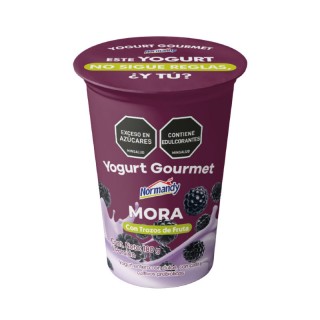 Yogurt Gourmet Mora Vso x...