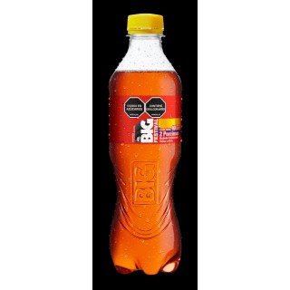 Big festival pet no...